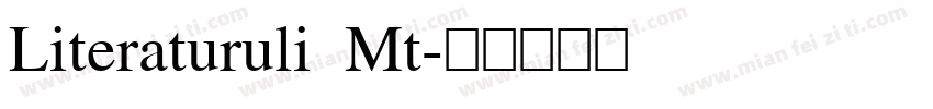 Literaturuli Mt字体转换